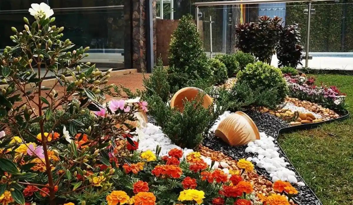 Paisajismo y Jardinería